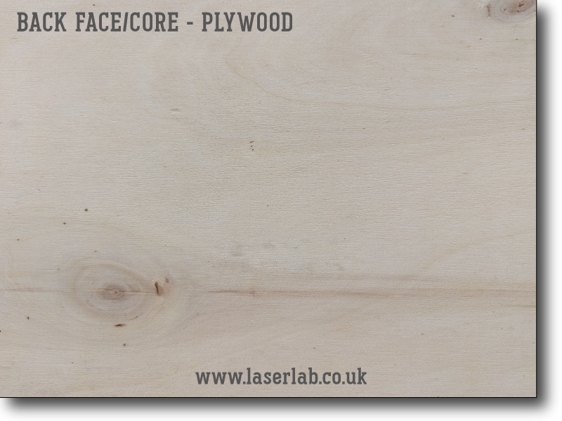 TIMBER | Veneered Plywood - Ash