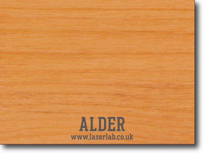 TIMBER | Alder (Solid Wood)