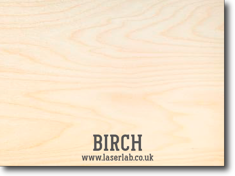 TIMBER | Birch (Plywood)