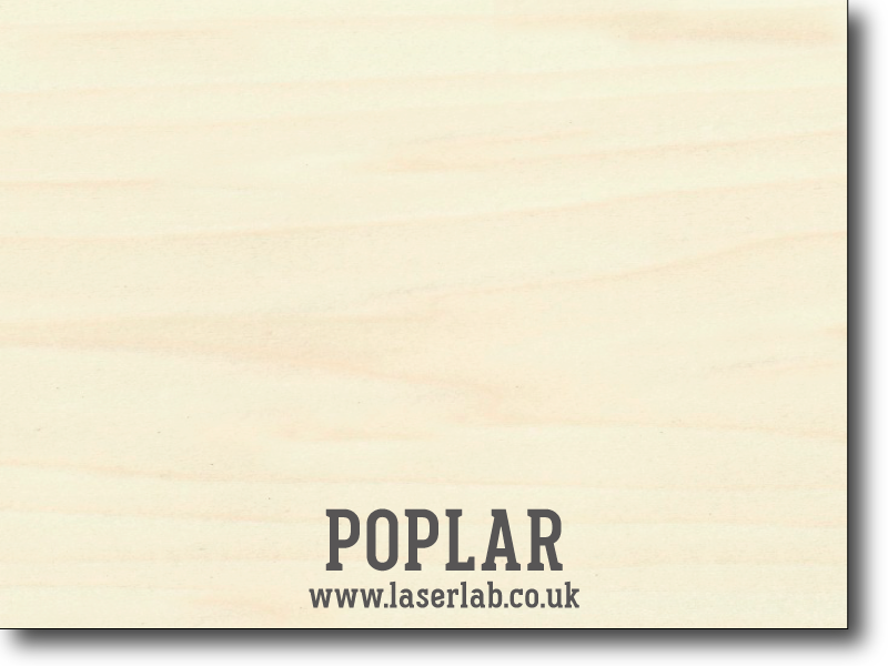 TIMBER | Poplar (Plywood)