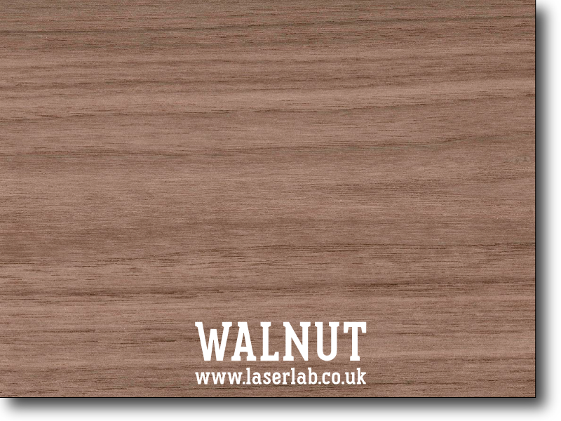 TIMBER | Walnut (Solid Wood)